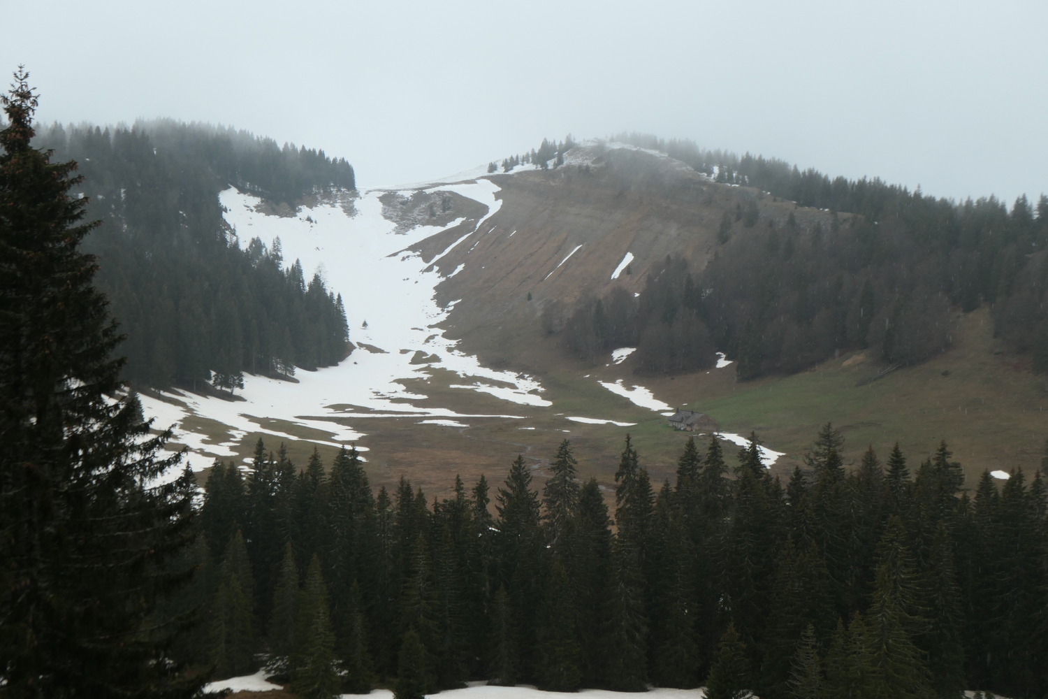 p1002936.jpg