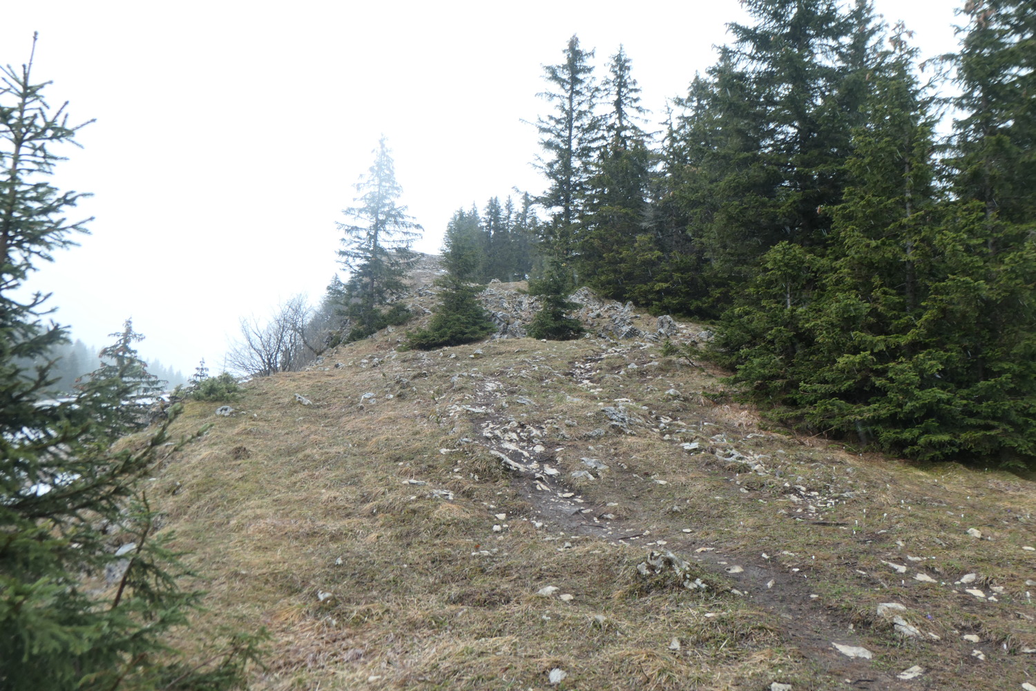 p1002938.jpg