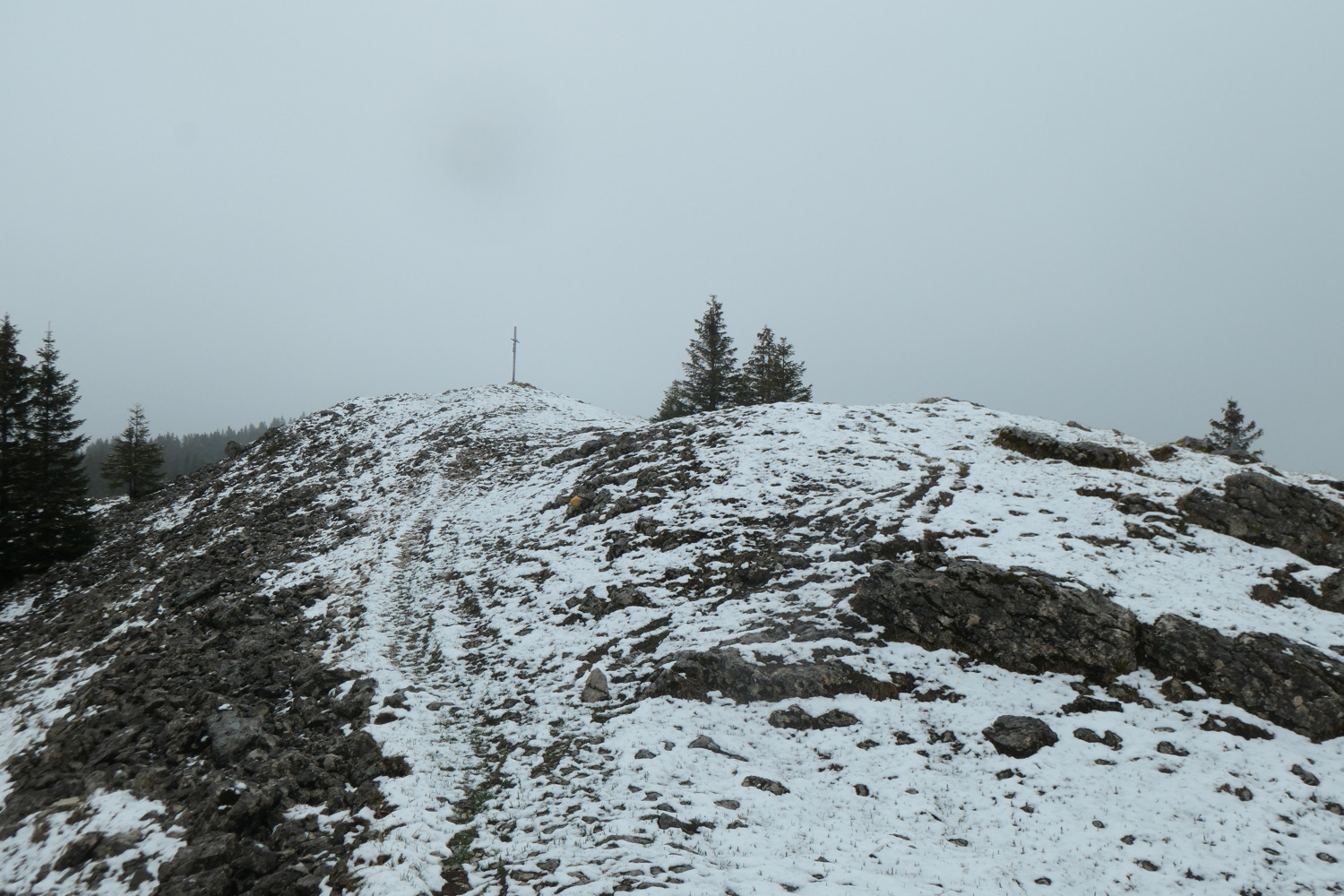 p1002940.jpg