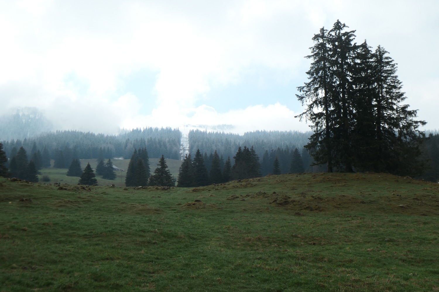 p1002950.jpg