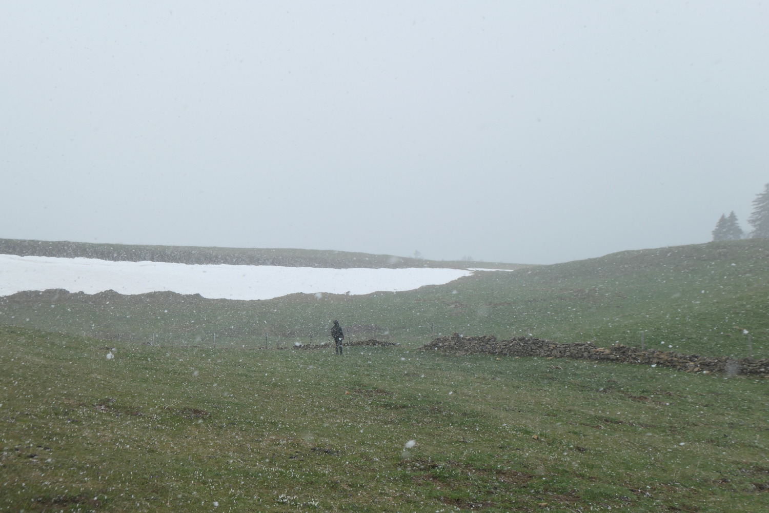 p1002964.jpg