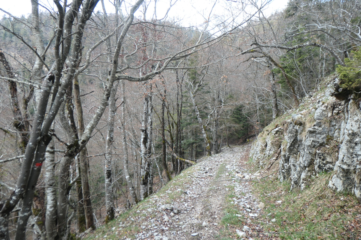 p1002965.jpg