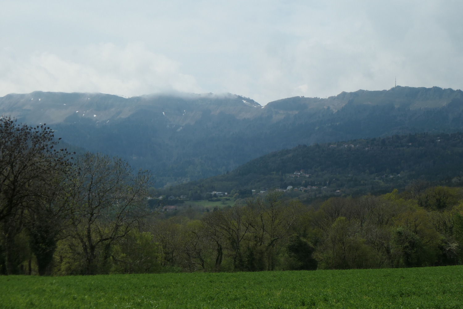 p1002967.jpg