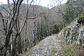 p1002965.jpg