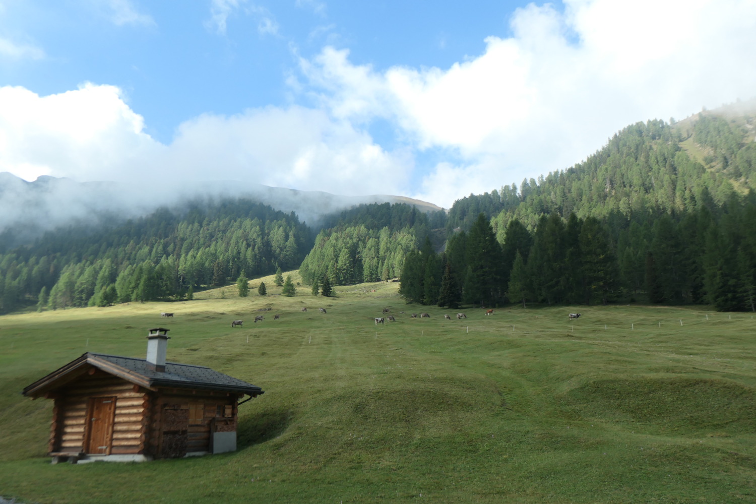 p1004336.jpg