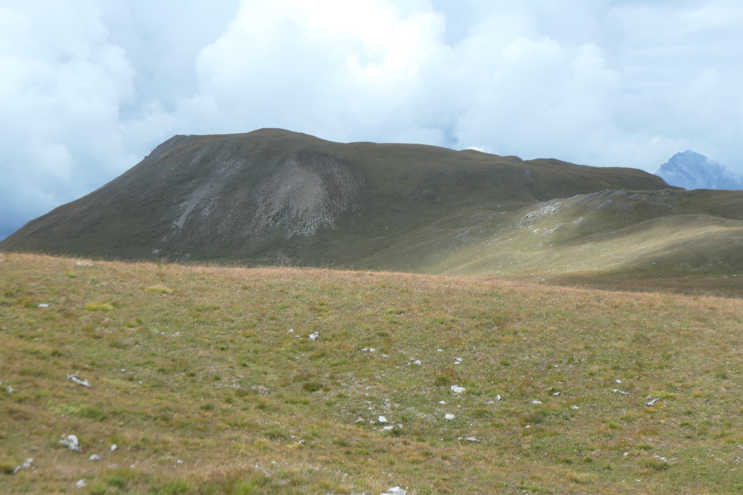 p1004370.jpg