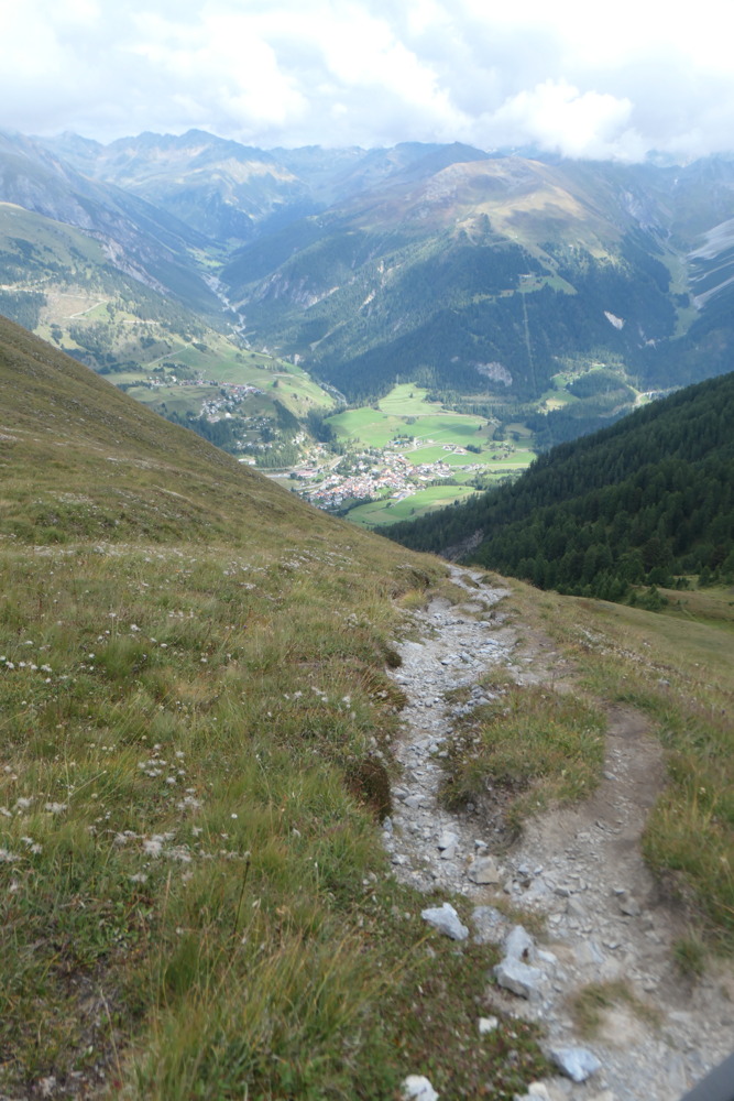 p1004390.jpg