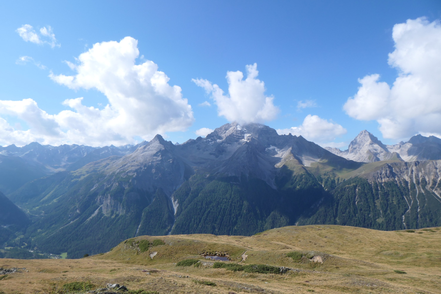 p1004400.jpg