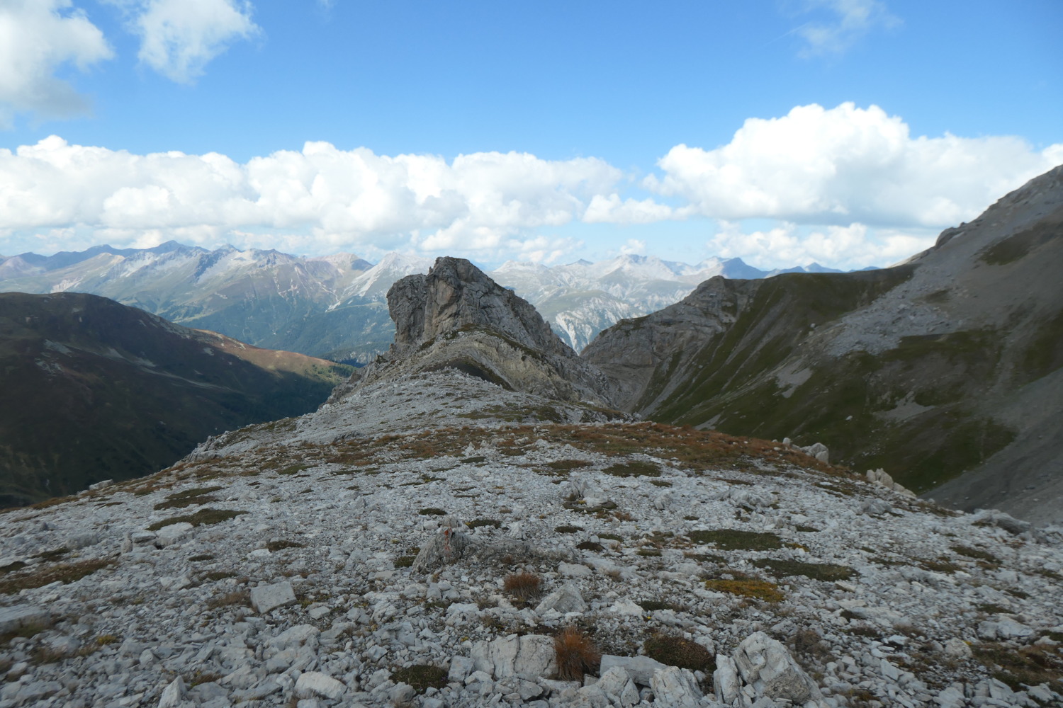 p1004404.jpg