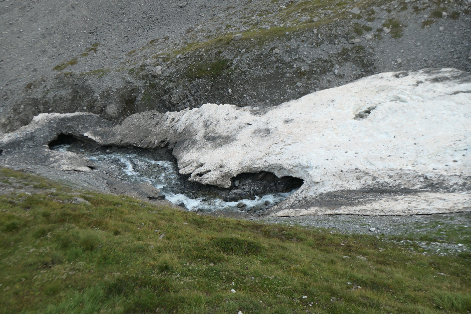 p1004416.jpg