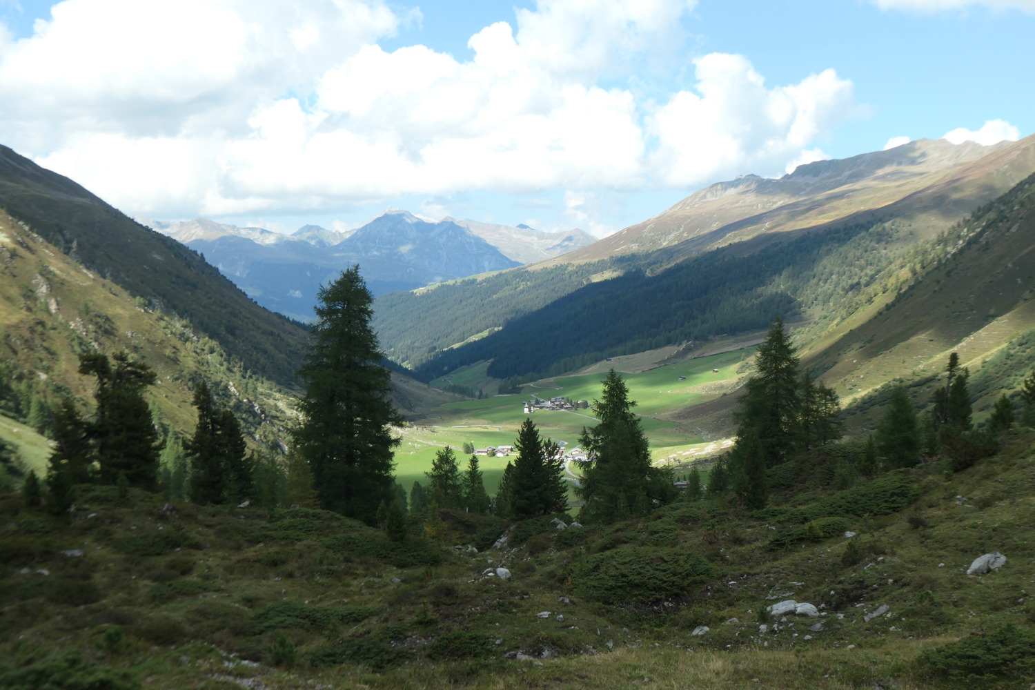 p1004417.jpg