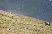 p1004374.jpg