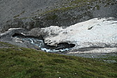 p1004416.jpg