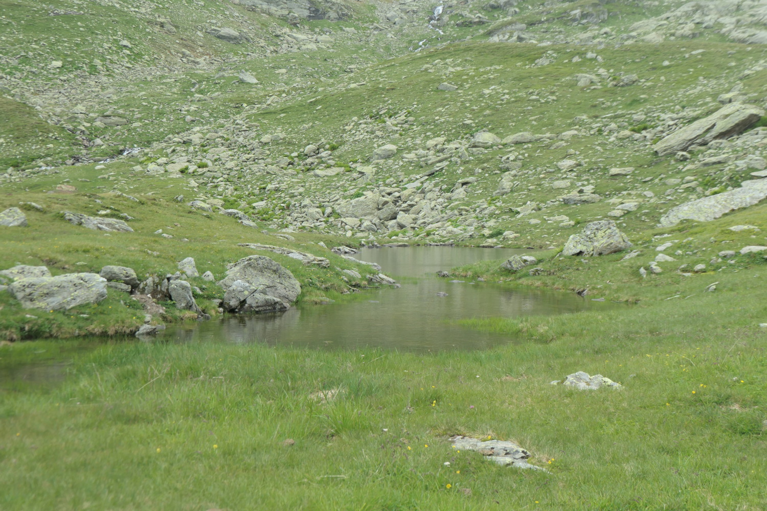 p1003679.jpg