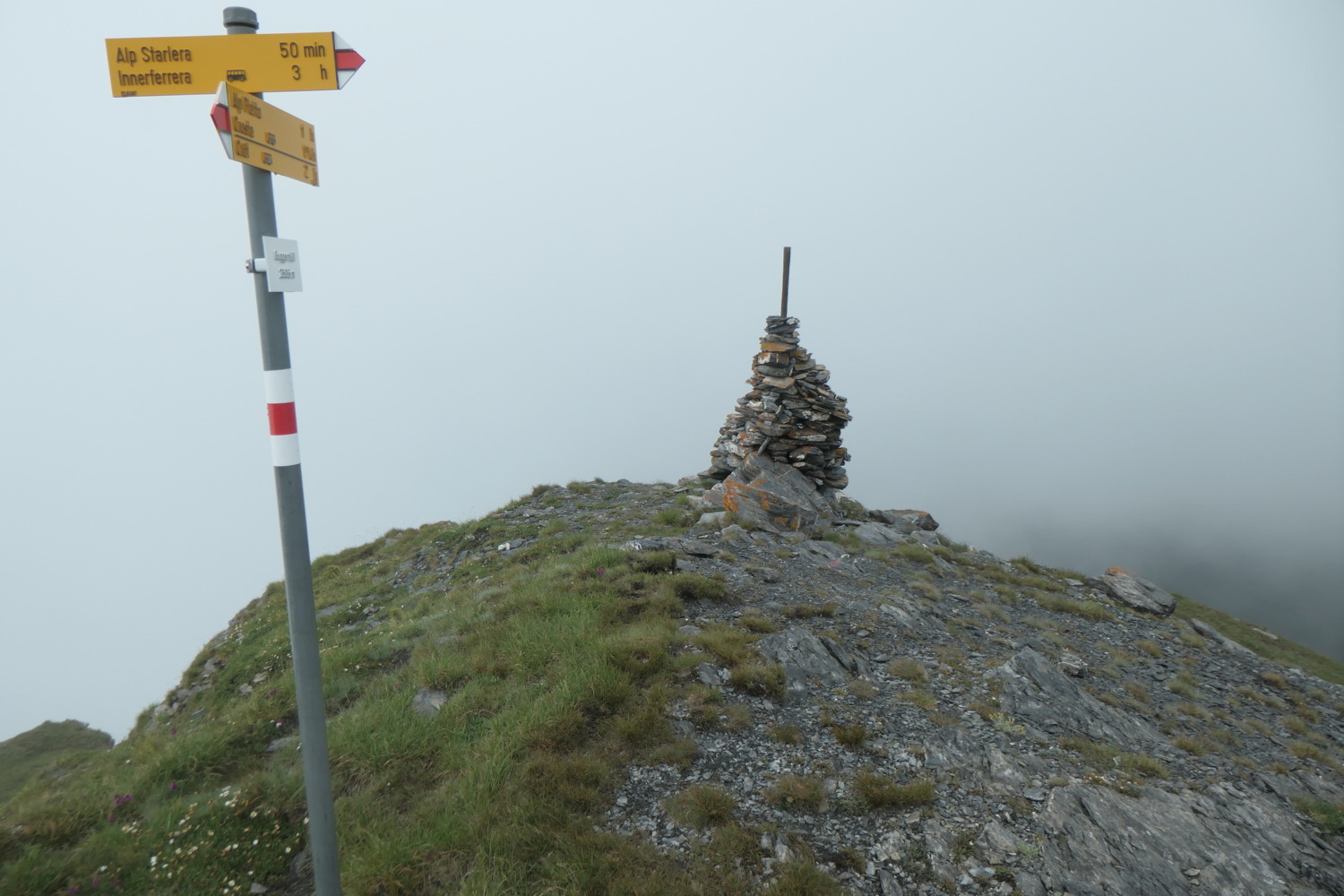 p1003717.jpg