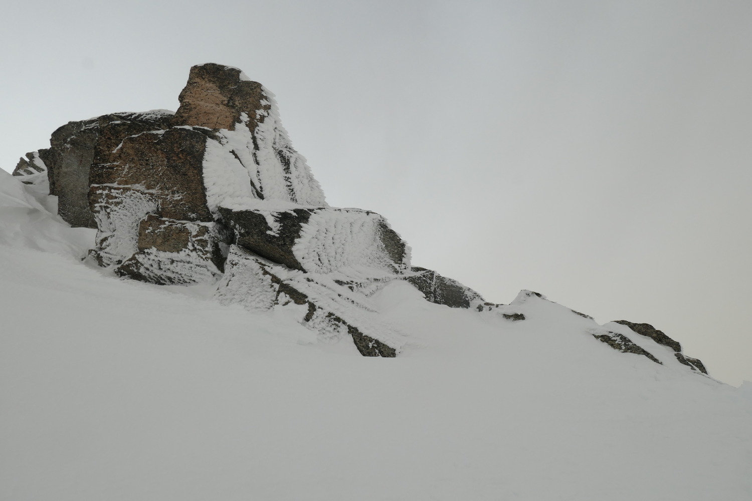 p1002383.jpg