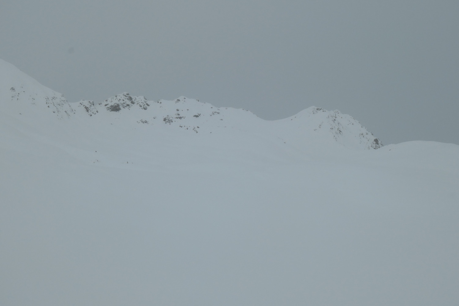 p1002387.jpg