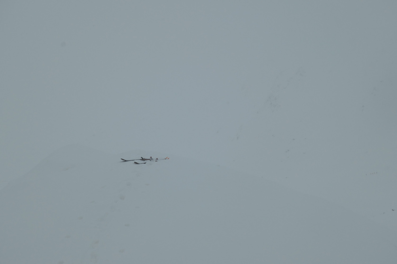 p1002388.jpg