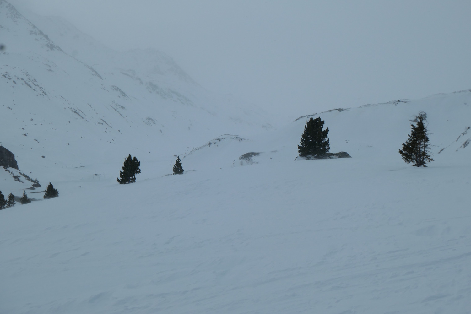p1002782.jpg
