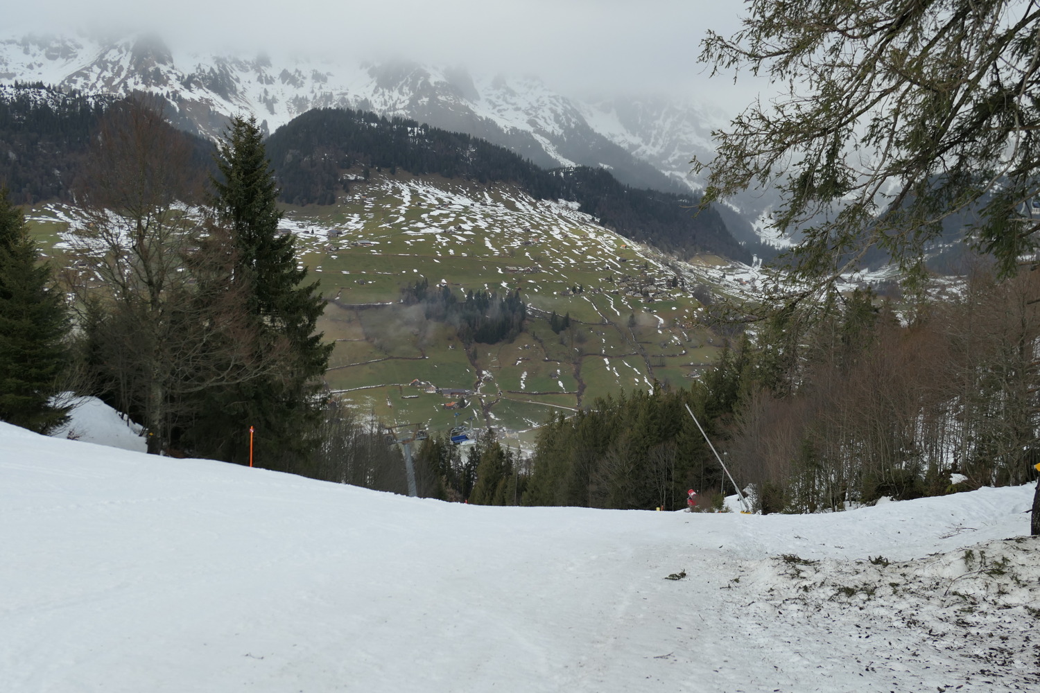 p1010956.jpg