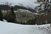 p1010956.jpg