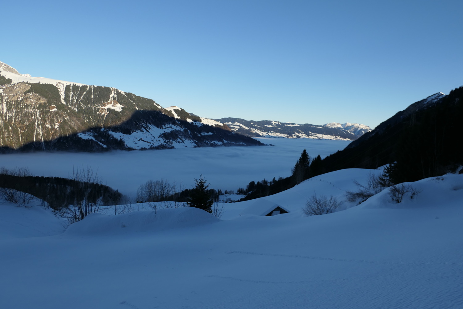 p1010913.jpg
