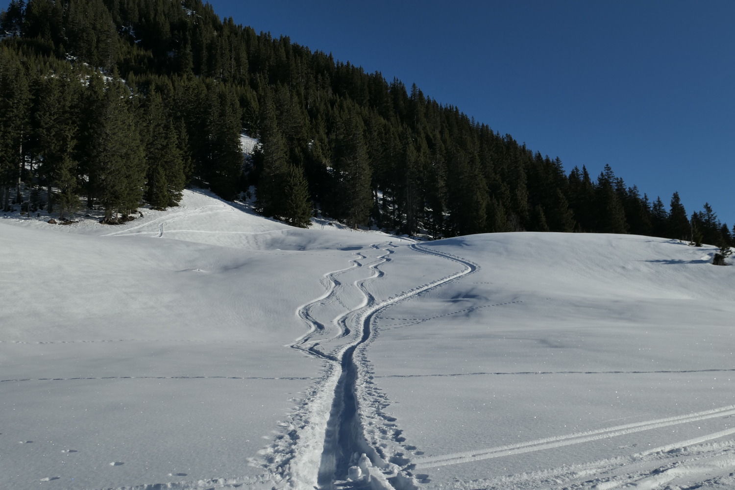 p1010916.jpg