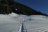 p1010916.jpg