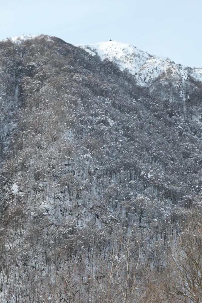 p1002250.jpg