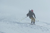 p1002658.jpg
