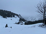 img_2722.heic