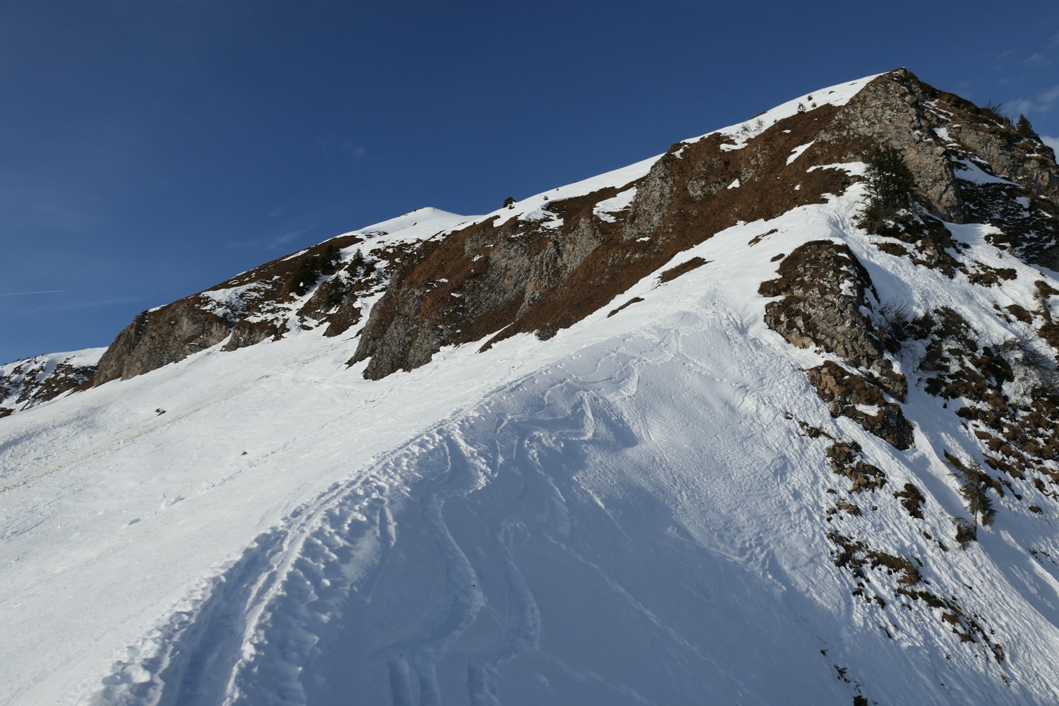 p1010935.jpg