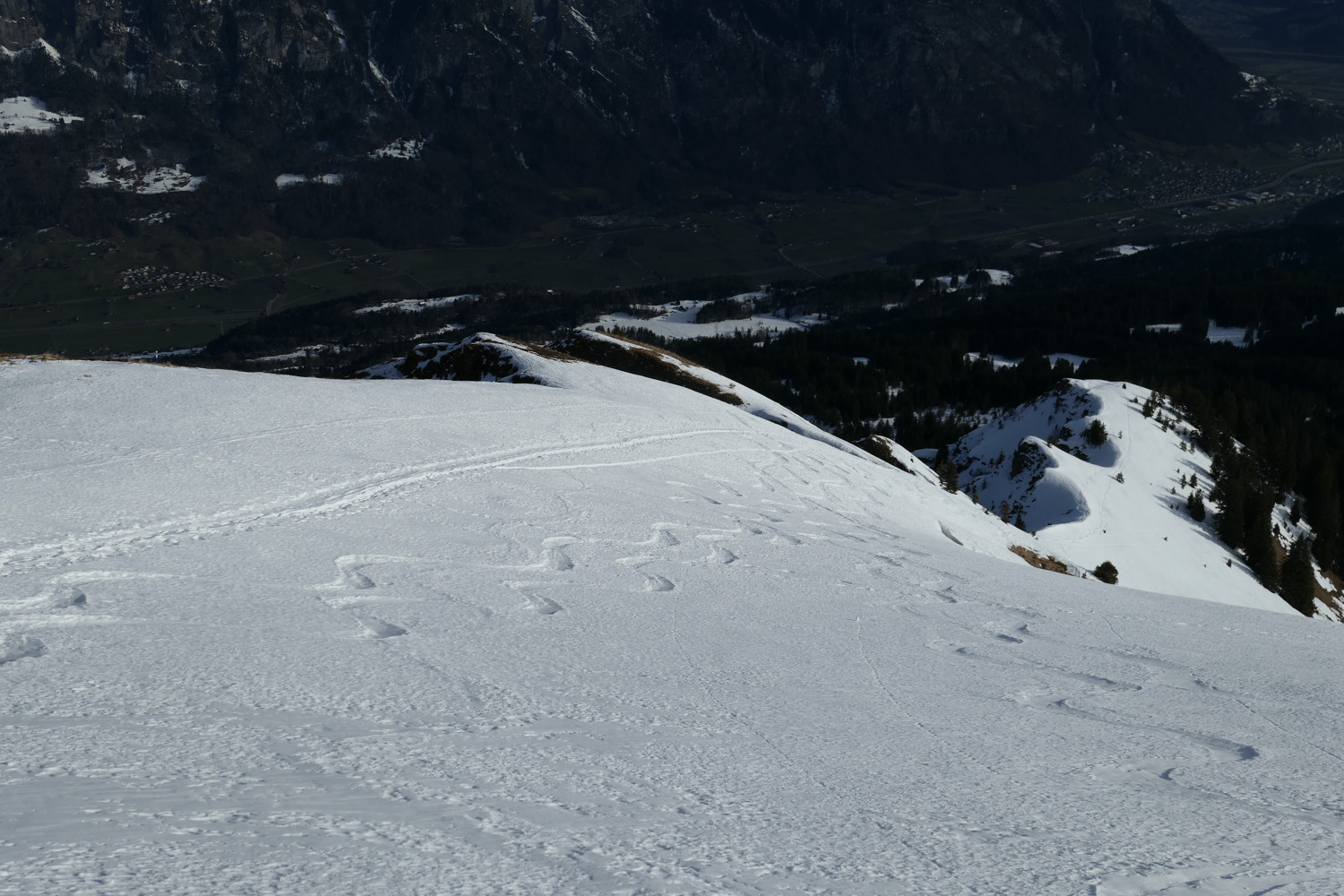 p1010944.jpg