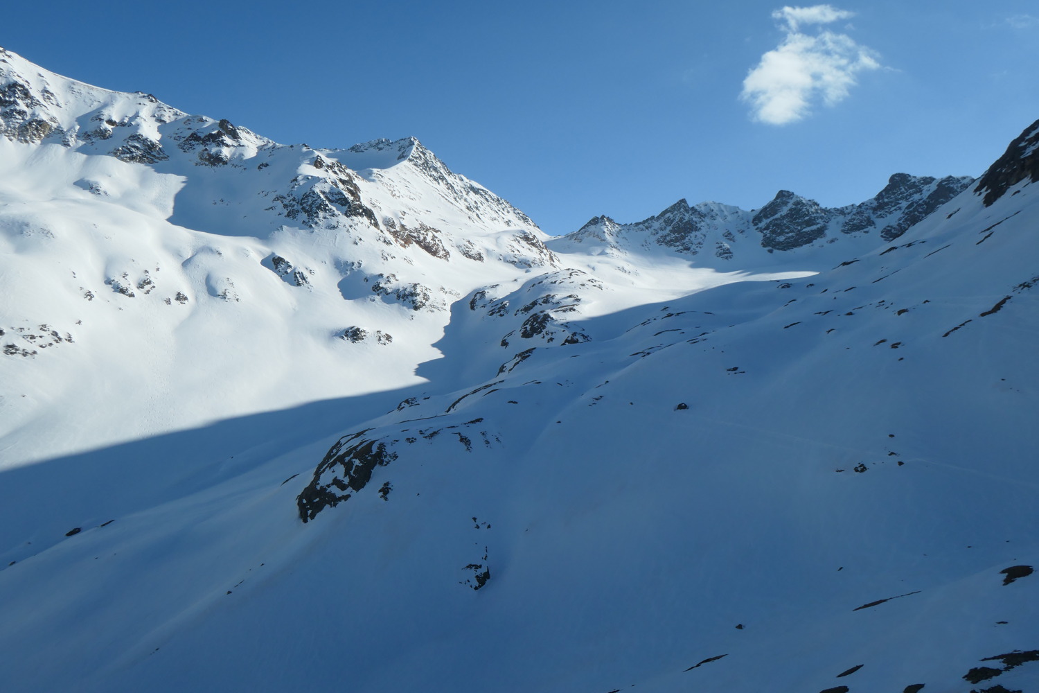 p1002865.jpg