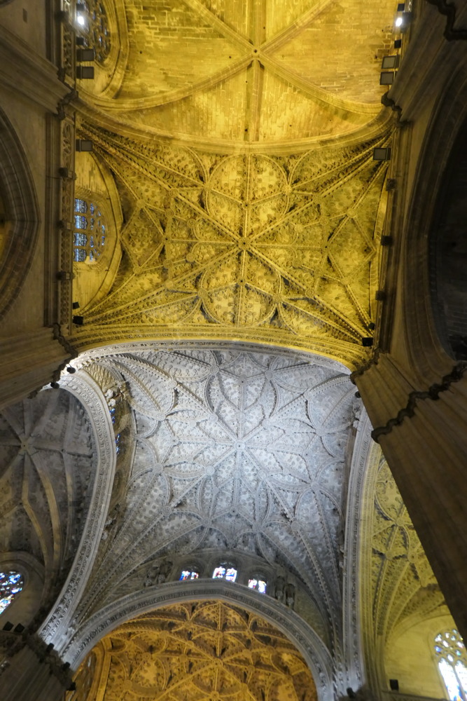 p1003966.jpg
