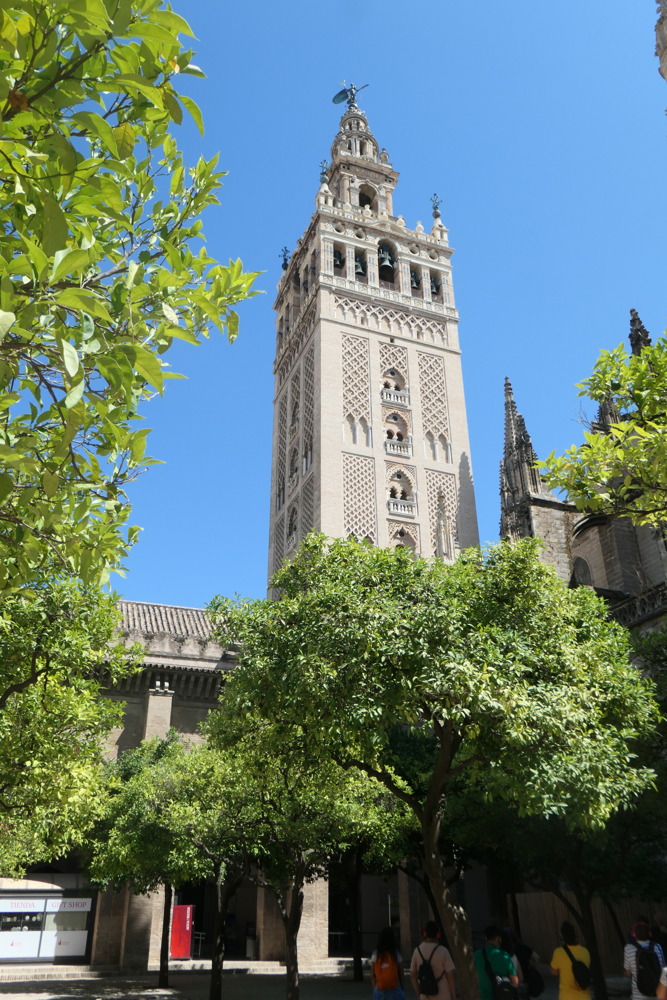 p1003998.jpg