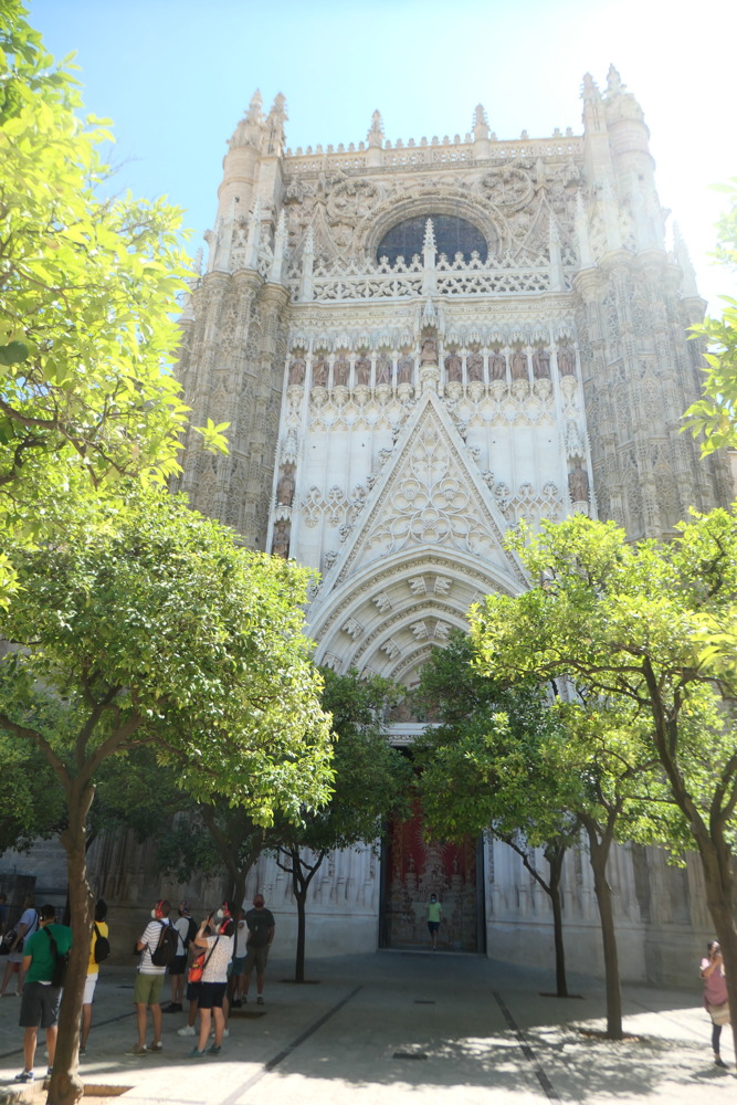p1003999.jpg