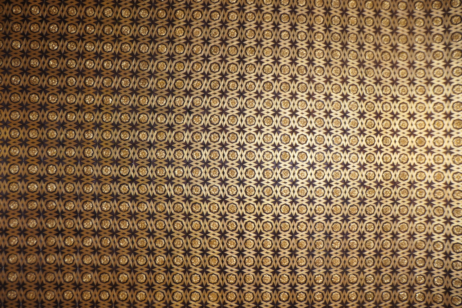 p1004010.jpg