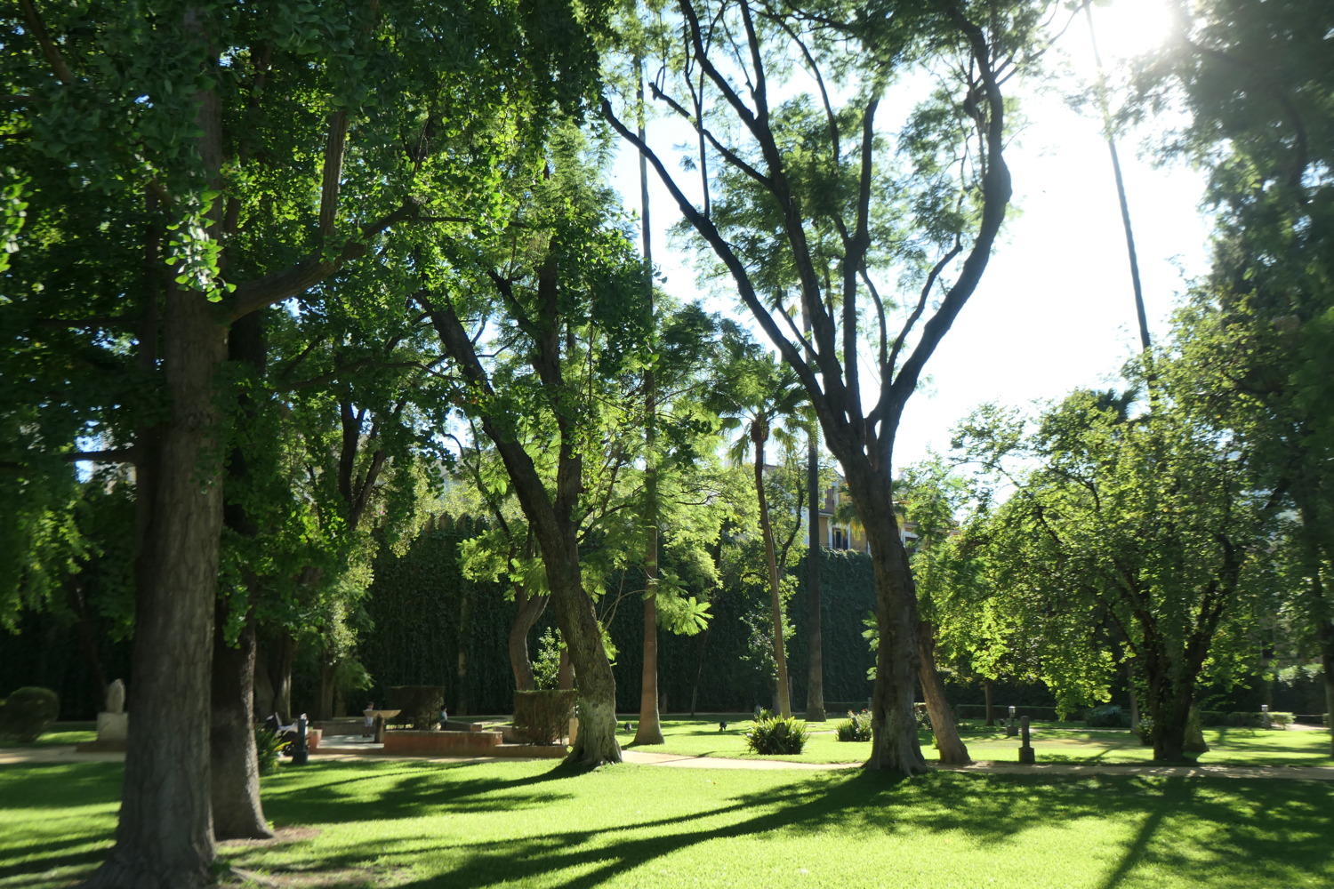 p1004054.jpg