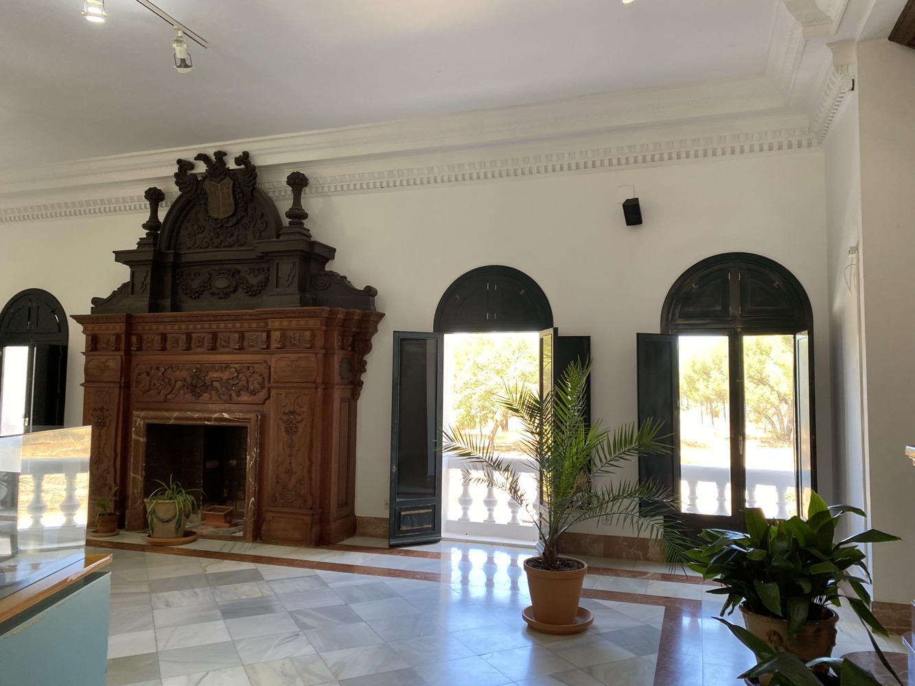 p1004104c.jpg