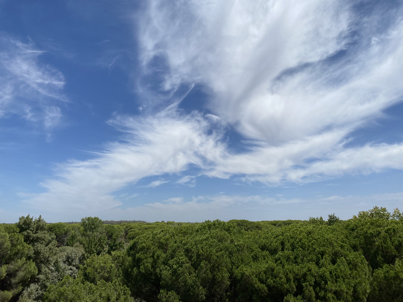 p1004104e.jpg