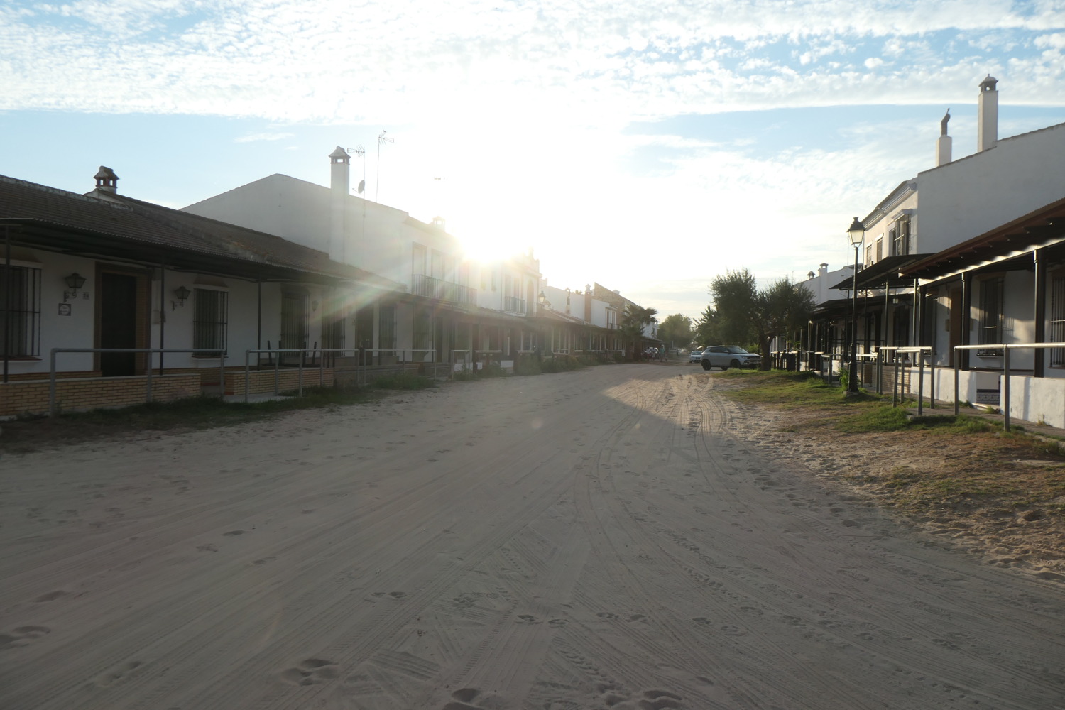 p1004123.jpg