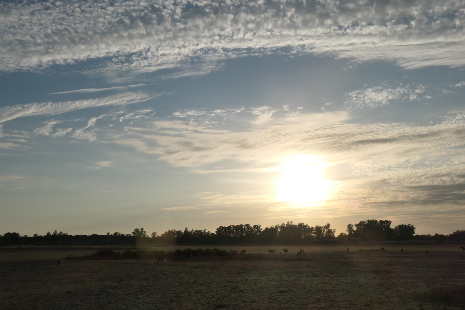 p1004130.jpg