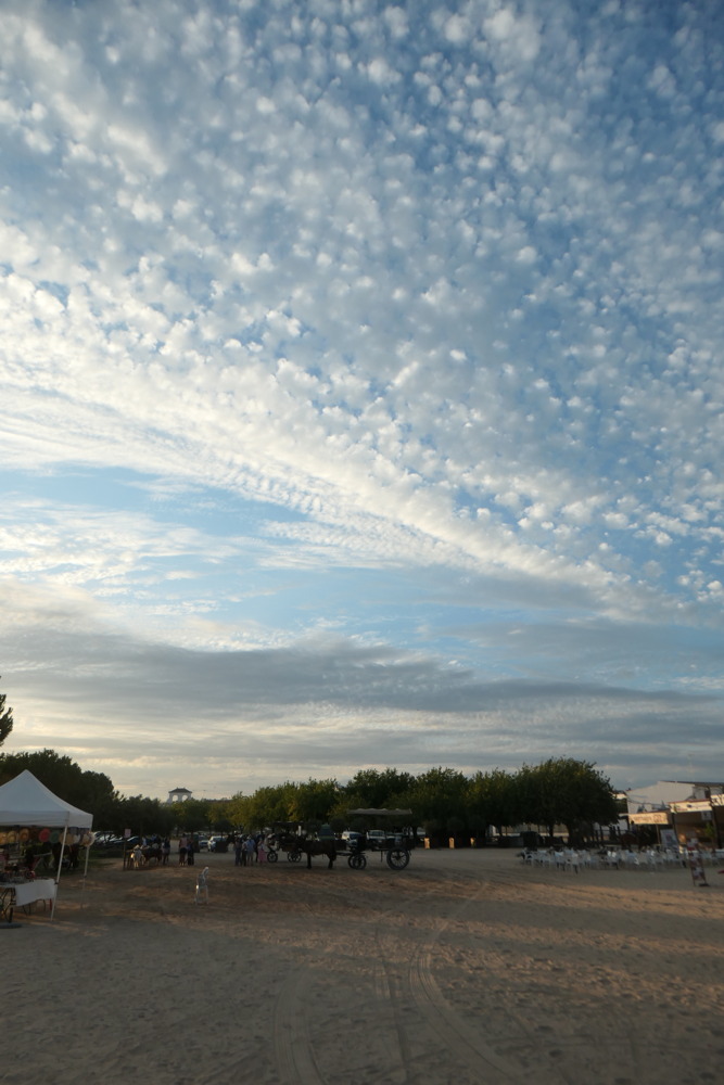 p1004136.jpg