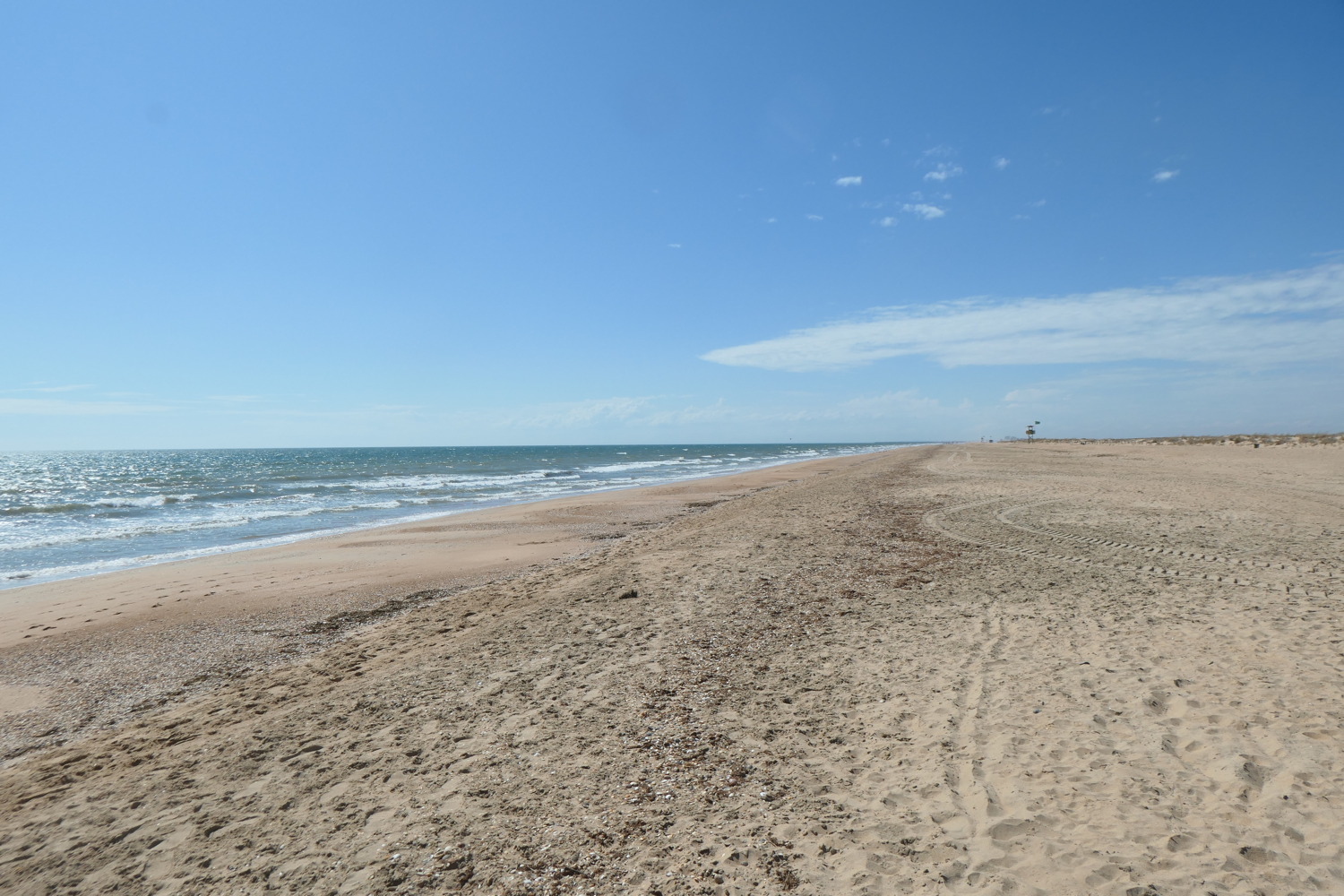 p1004167.jpg