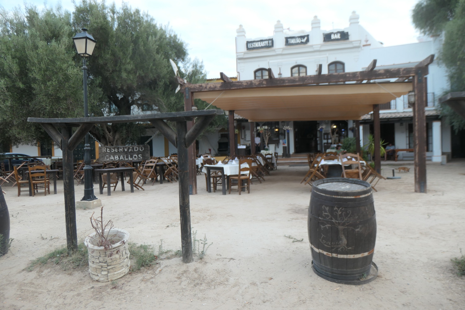 p1004172.jpg