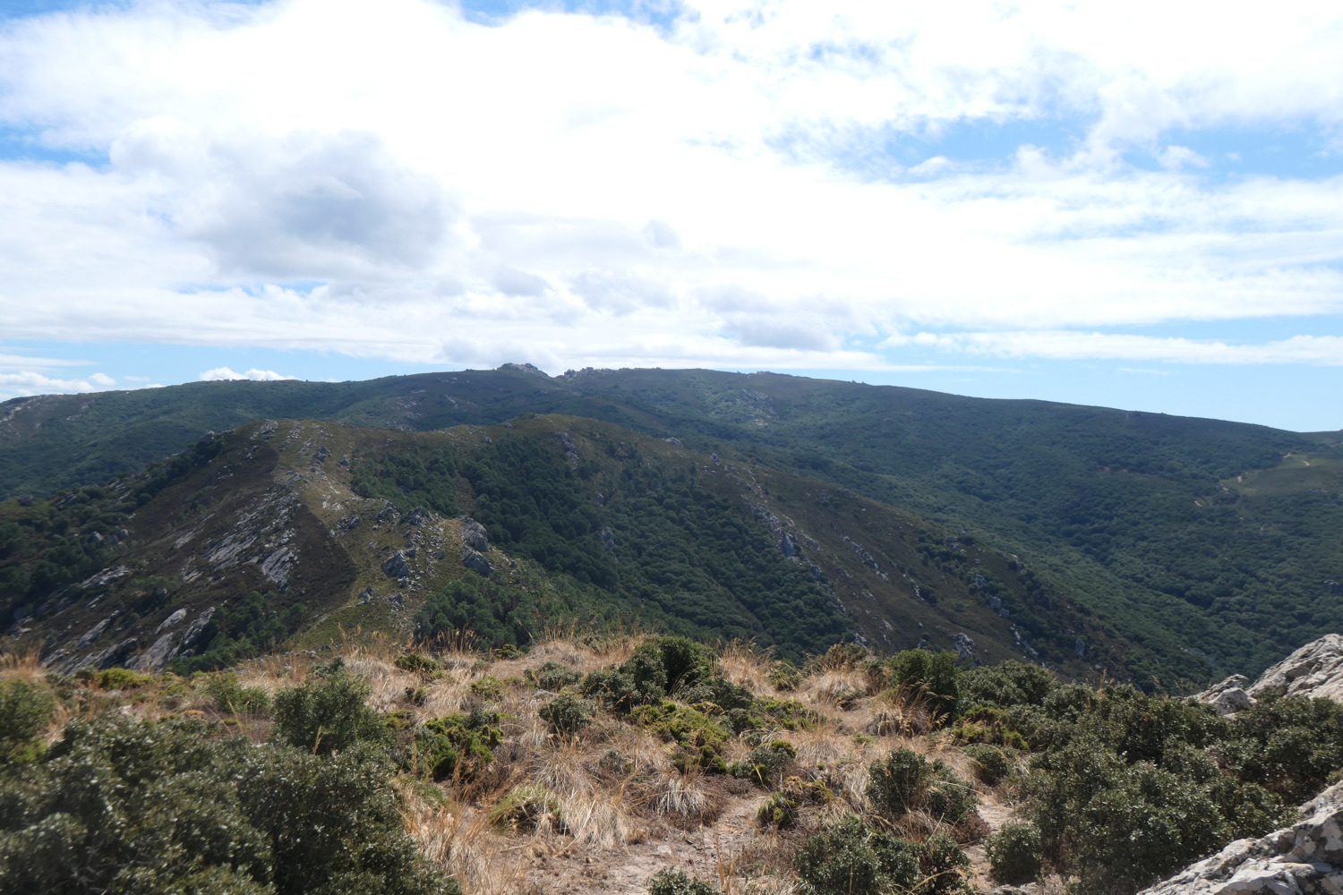 p1004194.jpg