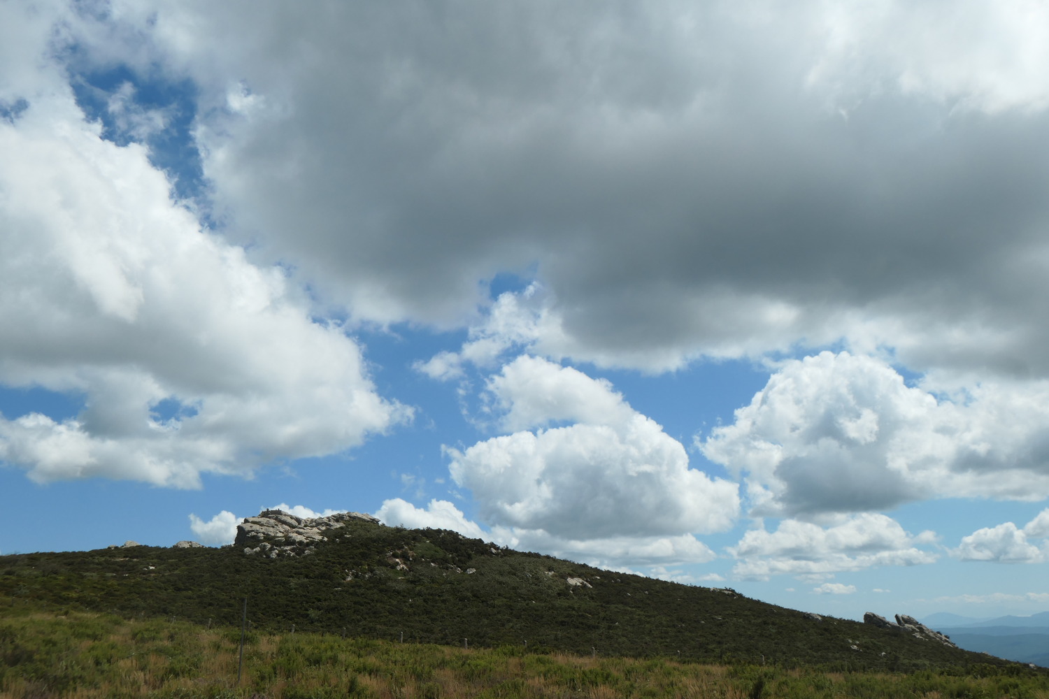 p1004205.jpg
