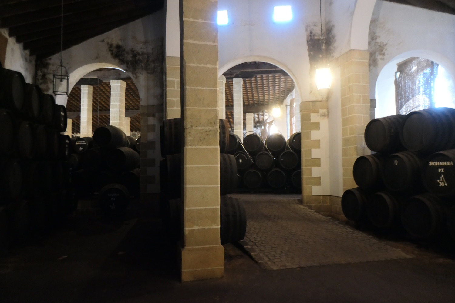 p1004317.jpg