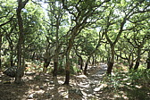 p1004177.jpg